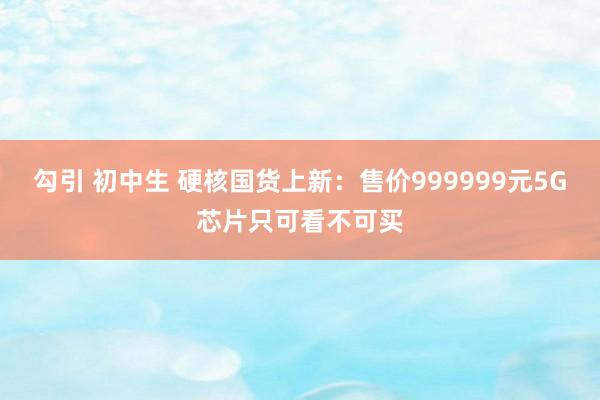 勾引 初中生 硬核国货上新：售价999999元5G芯片只可看不可买