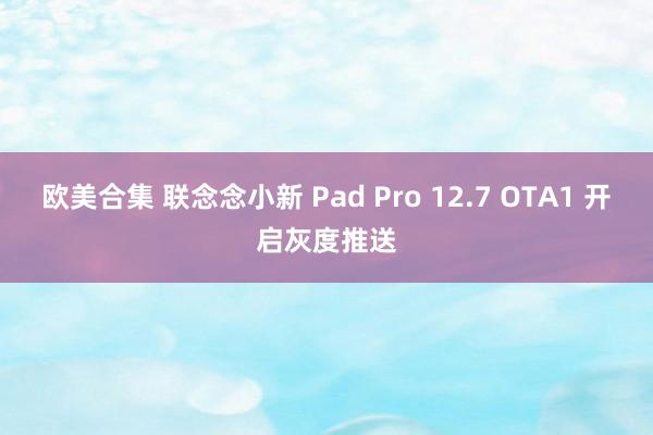 欧美合集 联念念小新 Pad Pro 12.7 OTA1 开启灰度推送