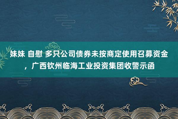 妹妹 自慰 多只公司债券未按商定使用召募资金，广西钦州临海工业投资集团收警示函