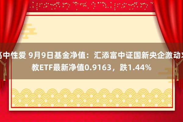 高中性爱 9月9日基金净值：汇添富中证国新央企激动求教ETF最新净值0.9163，跌1.44%