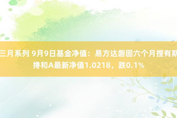 三月系列 9月9日基金净值：易方达磐固六个月捏有期搀和A最新净值1.0218，跌0.1%