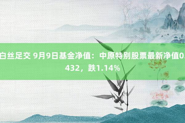 白丝足交 9月9日基金净值：中原特别股票最新净值0.432，跌1.14%