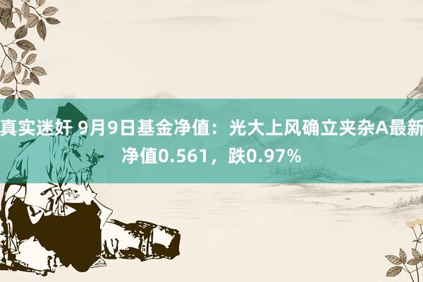 真实迷奸 9月9日基金净值：光大上风确立夹杂A最新净值0.561，跌0.97%