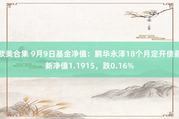 欧美合集 9月9日基金净值：鹏华永泽18个月定开债最新净值1.1915，跌0.16%