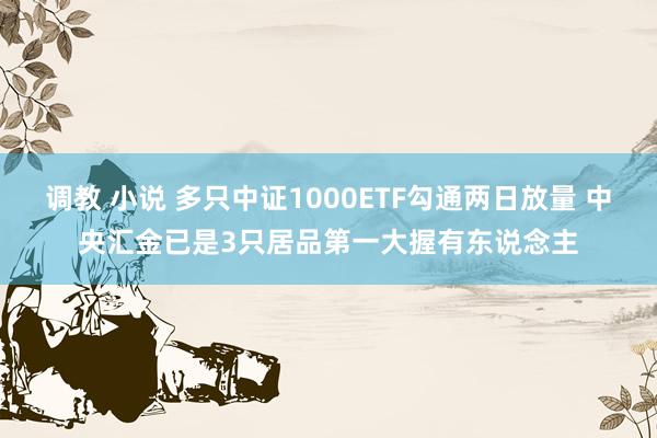 调教 小说 多只中证1000ETF勾通两日放量 中央汇金已是3只居品第一大握有东说念主