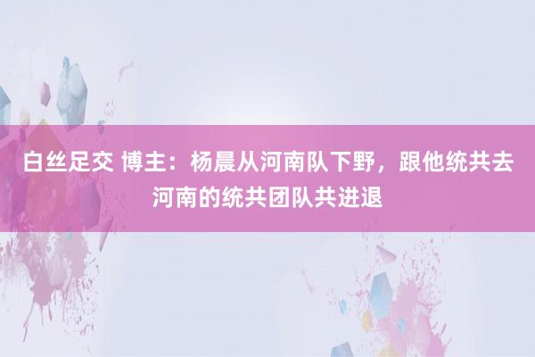 白丝足交 博主：杨晨从河南队下野，跟他统共去河南的统共团队共进退