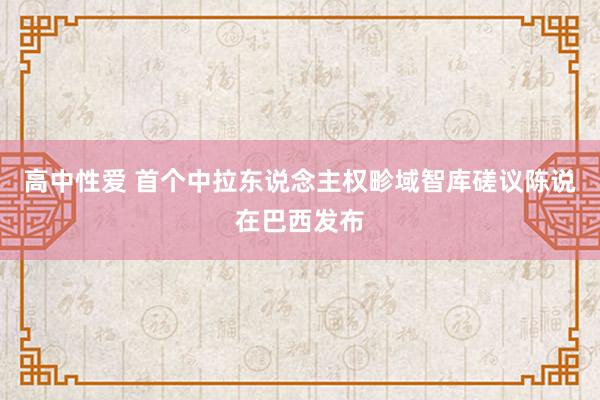 高中性爱 首个中拉东说念主权畛域智库磋议陈说在巴西发布