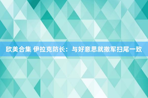 欧美合集 伊拉克防长：与好意思就撤军扫尾一致