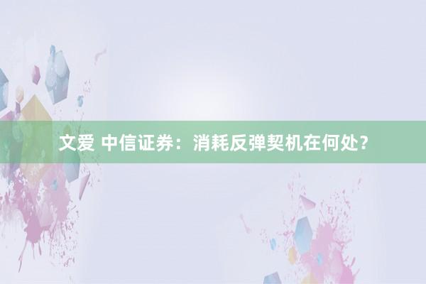 文爱 中信证券：消耗反弹契机在何处？