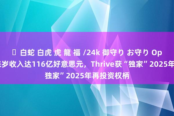 ✨白蛇 白虎 虎 龍 福 /24k 御守り お守り OpenAI瞻望来岁收入达116亿好意思元，Thrive获“独家”2025年再投资权柄