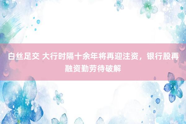 白丝足交 大行时隔十余年将再迎注资，银行股再融资勤劳待破解