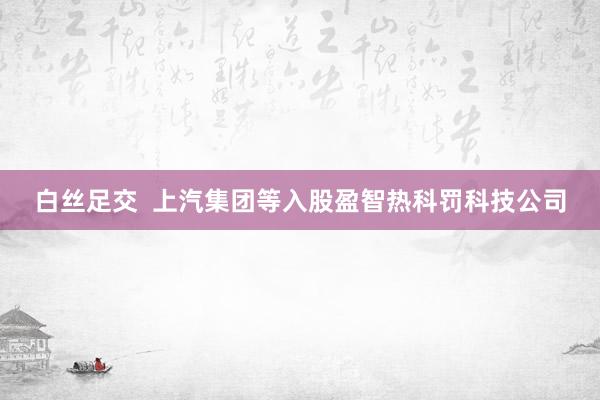 白丝足交  上汽集团等入股盈智热科罚科技公司