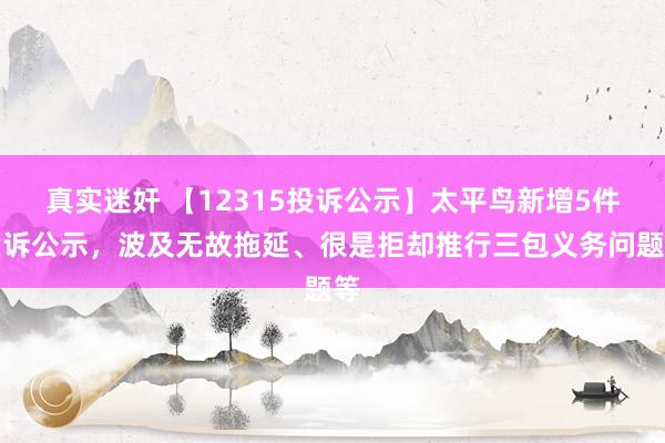 真实迷奸 【12315投诉公示】太平鸟新增5件投诉公示，波及无故拖延、很是拒却推行三包义务问题等