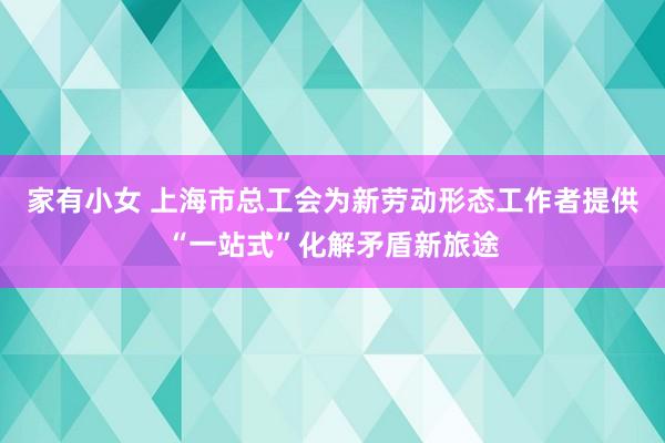 家有小女 上海市总工会为新劳动形态工作者提供“一站式”化解矛盾新旅途