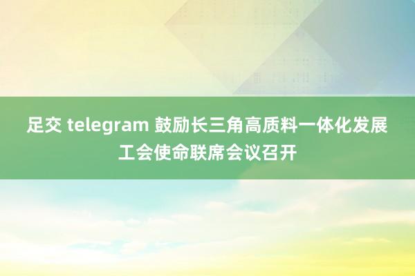 足交 telegram 鼓励长三角高质料一体化发展工会使命联席会议召开