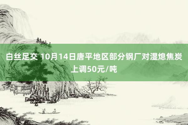 白丝足交 10月14日唐平地区部分钢厂对湿熄焦炭上调50元/吨