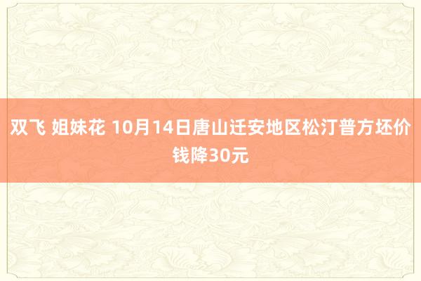 双飞 姐妹花 10月14日唐山迁安地区松汀普方坯价钱降30元