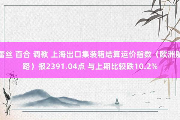 蕾丝 百合 调教 上海出口集装箱结算运价指数（欧洲航路）报2391.04点 与上期比较跌10.2%