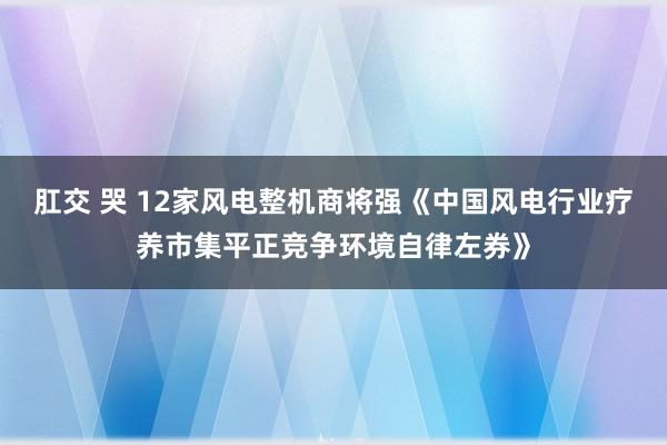 肛交 哭 12家风电整机商将强《中国风电行业疗养市集平正竞争环境自律左券》