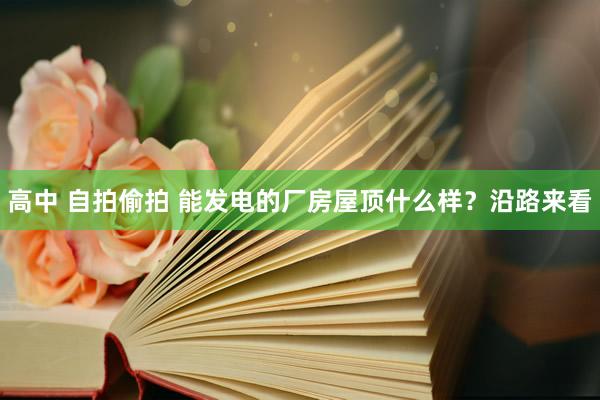 高中 自拍偷拍 能发电的厂房屋顶什么样？沿路来看