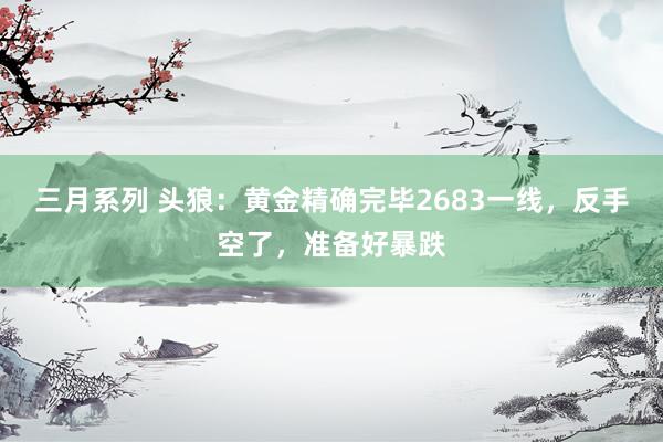 三月系列 头狼：黄金精确完毕2683一线，反手空了，准备好暴跌