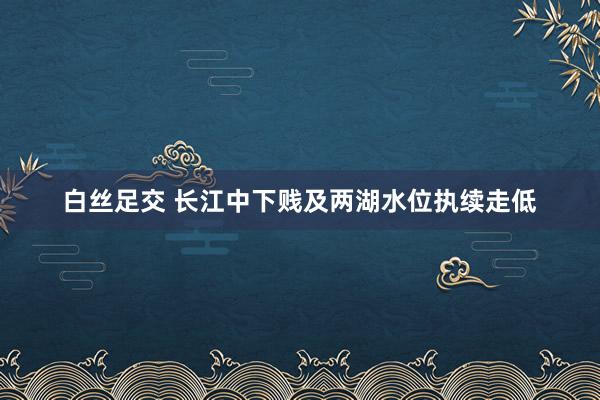 白丝足交 长江中下贱及两湖水位执续走低