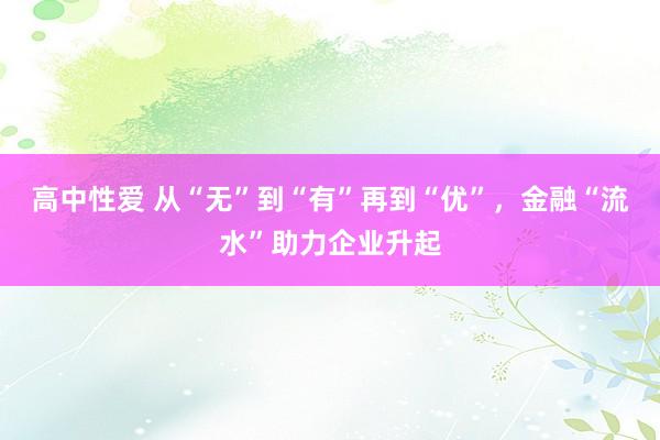 高中性爱 从“无”到“有”再到“优”，金融“流水”助力企业升起