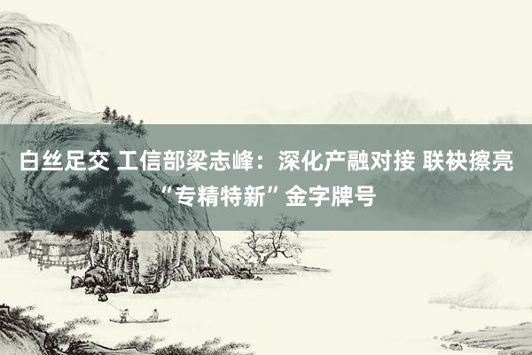 白丝足交 工信部梁志峰：深化产融对接 联袂擦亮“专精特新”金字牌号