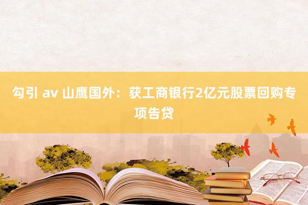 勾引 av 山鹰国外：获工商银行2亿元股票回购专项告贷