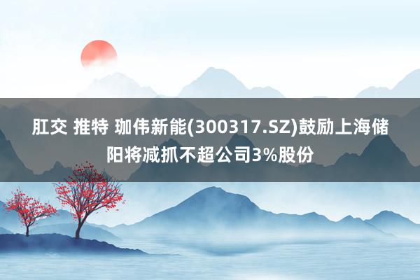 肛交 推特 珈伟新能(300317.SZ)鼓励上海储阳将减抓不超公司3%股份