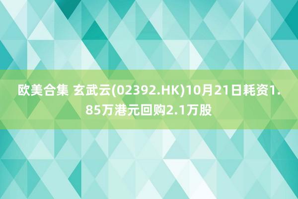 欧美合集 玄武云(02392.HK)10月21日耗资1.85万港元回购2.1万股