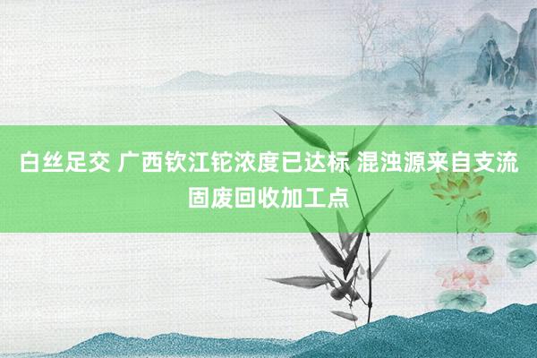 白丝足交 广西钦江铊浓度已达标 混浊源来自支流固废回收加工点