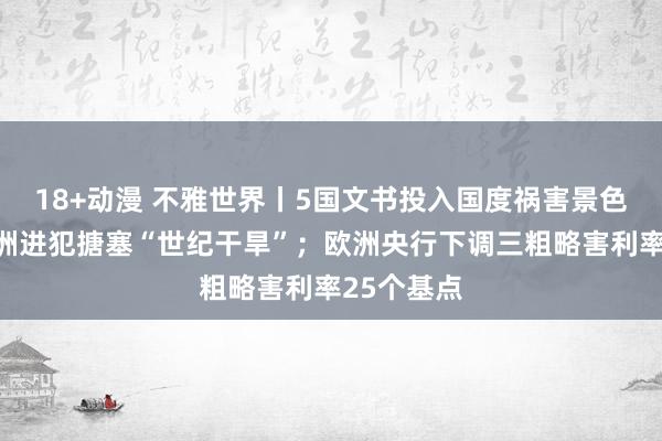 18+动漫 不雅世界丨5国文书投入国度祸害景色！南部非洲进犯搪塞“世纪干旱”；欧洲央行下调三粗略害利率25个基点