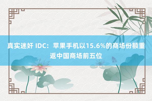 真实迷奸 IDC：苹果手机以15.6%的商场份额重返中国商场前五位