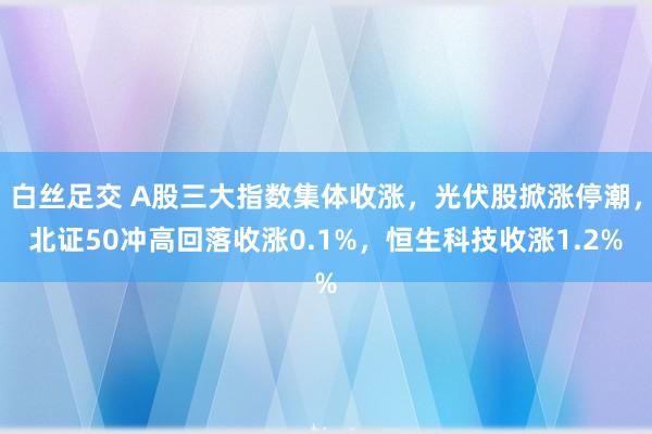 白丝足交 A股三大指数集体收涨，光伏股掀涨停潮，北证50冲高回落收涨0.1%，恒生科技收涨1.2%