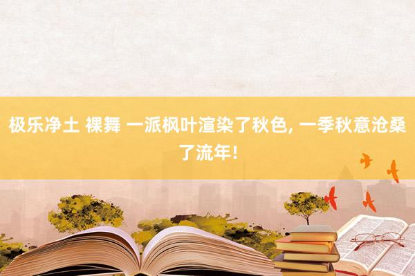 极乐净土 裸舞 一派枫叶渲染了秋色， 一季秋意沧桑了流年!