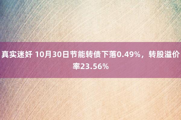 真实迷奸 10月30日节能转债下落0.49%，转股溢价率23.56%