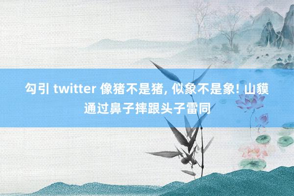 勾引 twitter 像猪不是猪， 似象不是象! 山貘通过鼻子摔跟头子雷同