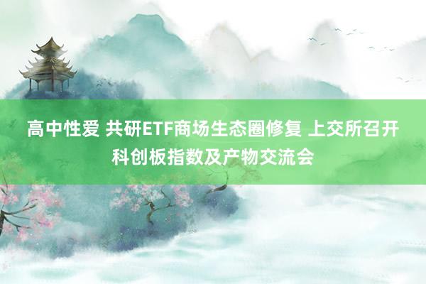 高中性爱 共研ETF商场生态圈修复 上交所召开科创板指数及产物交流会