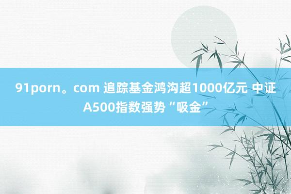 91porn。com 追踪基金鸿沟超1000亿元 中证A500指数强势“吸金”