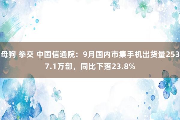 母狗 拳交 中国信通院：9月国内市集手机出货量2537.1万部，同比下落23.8%