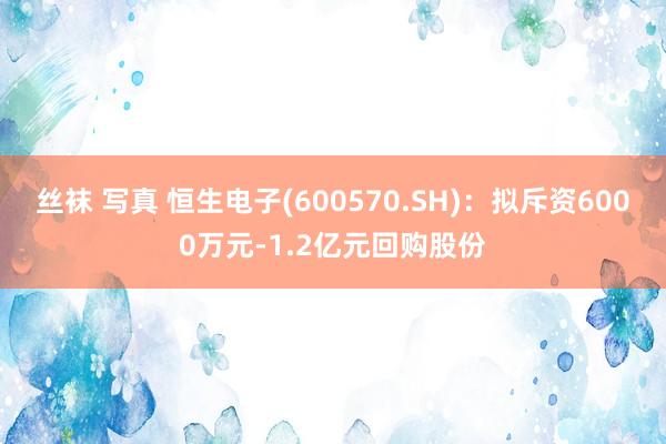 丝袜 写真 恒生电子(600570.SH)：拟斥资6000万元-1.2亿元回购股份