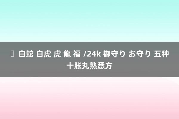 ✨白蛇 白虎 虎 龍 福 /24k 御守り お守り 五种十胀丸熟悉方