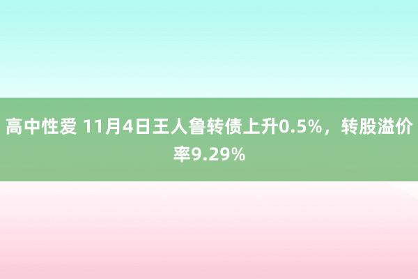 高中性爱 11月4日王人鲁转债上升0.5%，转股溢价率9.29%