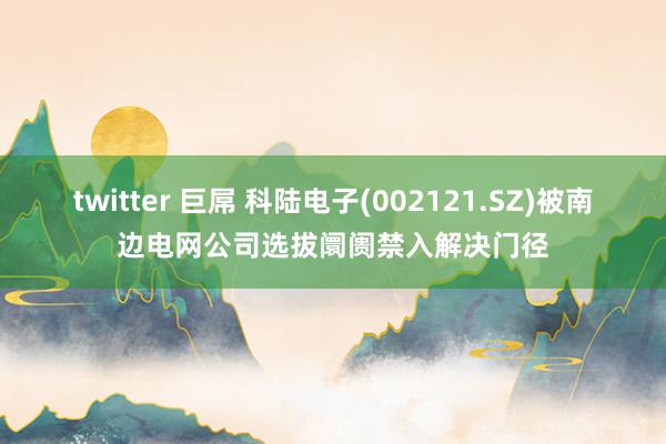 twitter 巨屌 科陆电子(002121.SZ)被南边电网公司选拔阛阓禁入解决门径