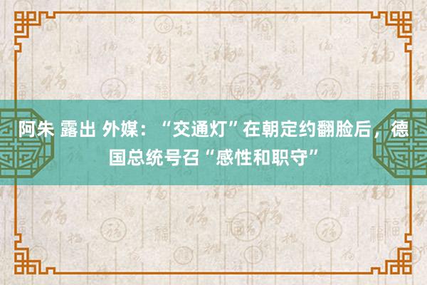 阿朱 露出 外媒：“交通灯”在朝定约翻脸后，德国总统号召“感性和职守”