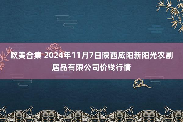 欧美合集 2024年11月7日陕西咸阳新阳光农副居品有限公司价钱行情