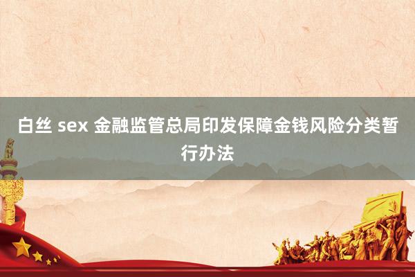 白丝 sex 金融监管总局印发保障金钱风险分类暂行办法