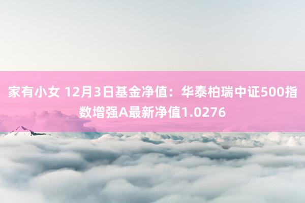 家有小女 12月3日基金净值：华泰柏瑞中证500指数增强A最新净值1.0276