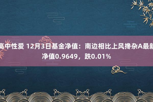 高中性爱 12月3日基金净值：南边相比上风搀杂A最新净值0.9649，跌0.01%